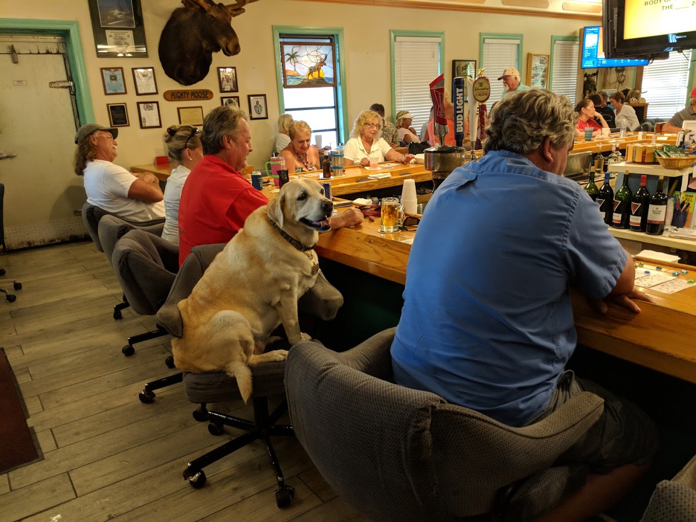 Moose Lodge 1585 Big Pine Key photo 2