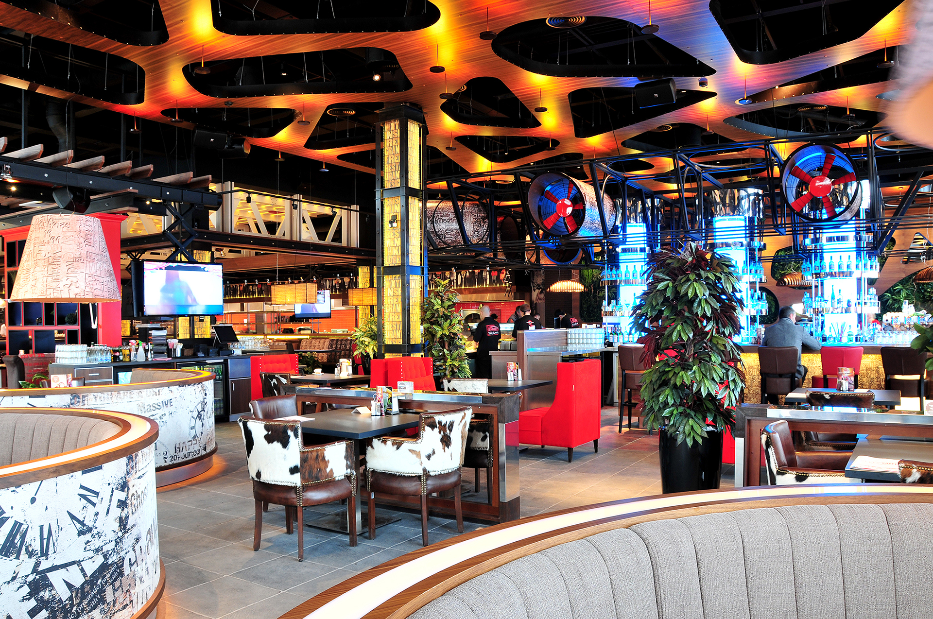 Cyprus Paradise Bar and Grill