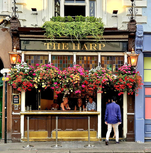 The Harp