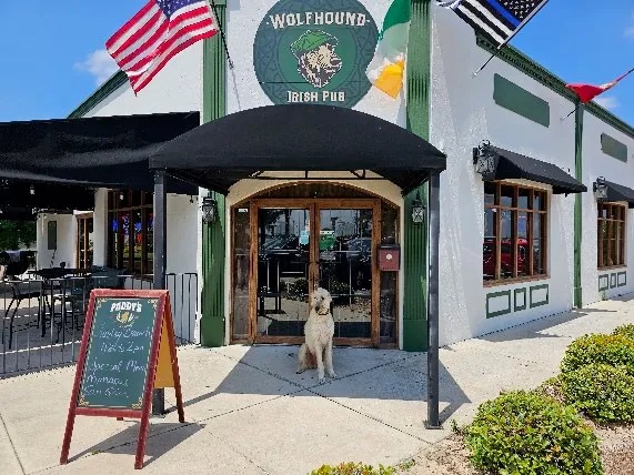 Wolfhound Irish Pub photo 2