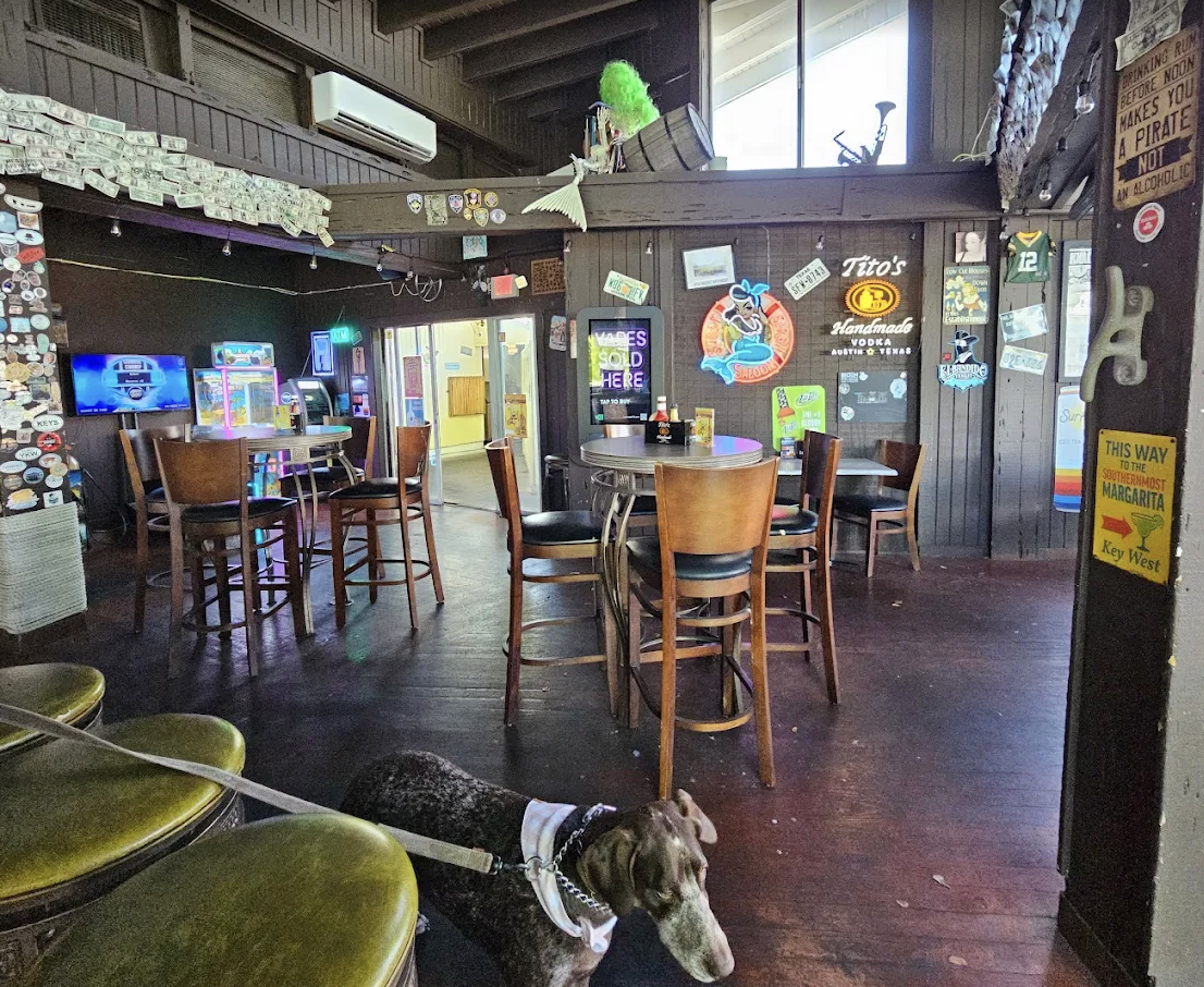 Surly Siren Saloon photo 6